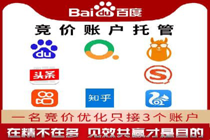 sem竞价托管代运营的实战技巧与案例